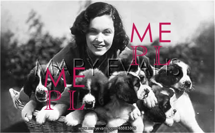 : MAUREEN O'SULLIVAN / DOGS : MAUREEN O'SULLIVAN / DOGS