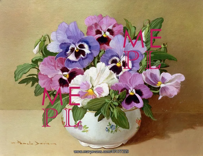  : Mauve, Purple and White Pansies