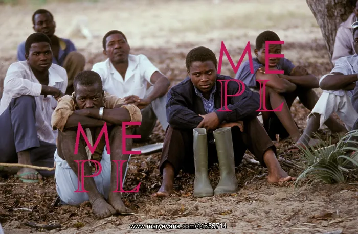 : Mavume, Inhambane - community meeting, central Mozambique : Mavume, Inhambane - community meeting, central Mozambique