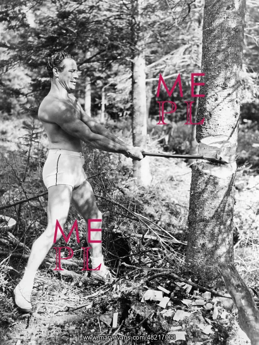 : Max Baer - athlete - USA - Boxen - 11.02.1909-21.11.1959 : Max Baer - athlete - USA - Boxen - 11.02.1909-21.11.1959