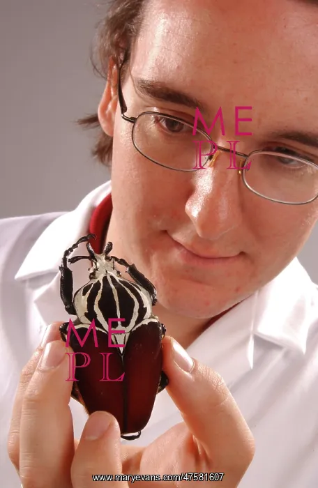 : Max Barclay with beetle specimen : Max Barclay with beetle specimen
