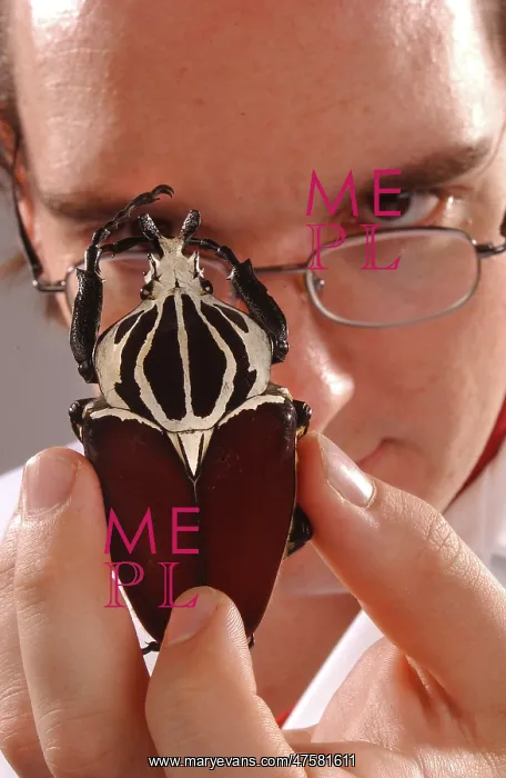 : Max Barclay with beetle specimen : Max Barclay with beetle specimen