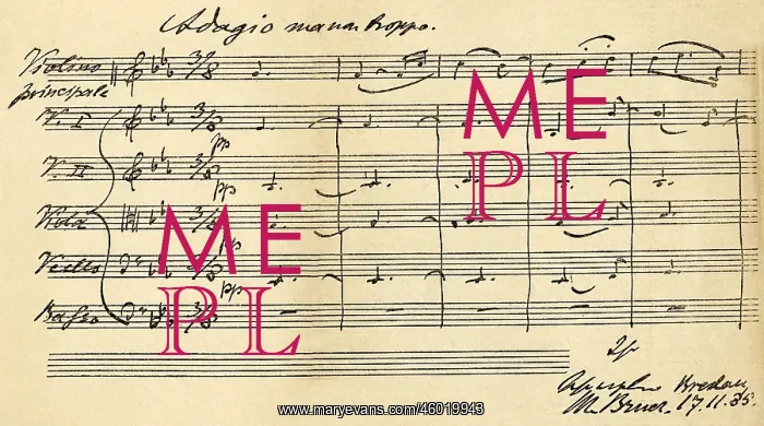 : Max Bruch (1838-1920), German composer, conducter : Max Bruch (1838-1920), German composer, conducter