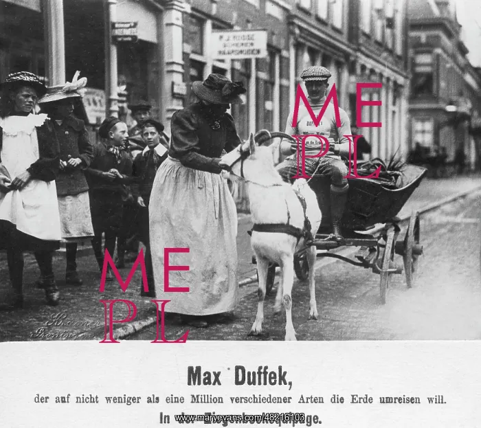 : Max Duffek : Max Duffek