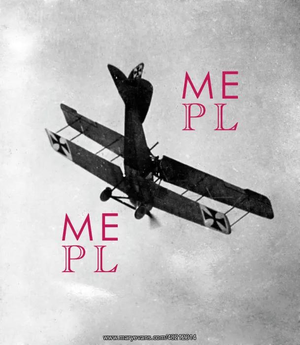 : Max Immelmann in his fighter : Max Immelmann in his fighter