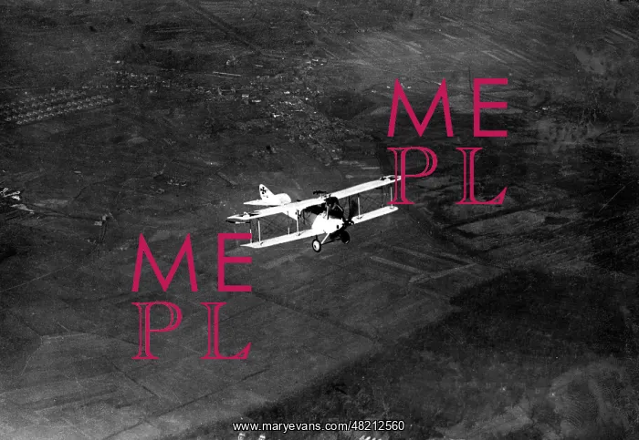 : Max Immelmann in his machine : Max Immelmann in his machine