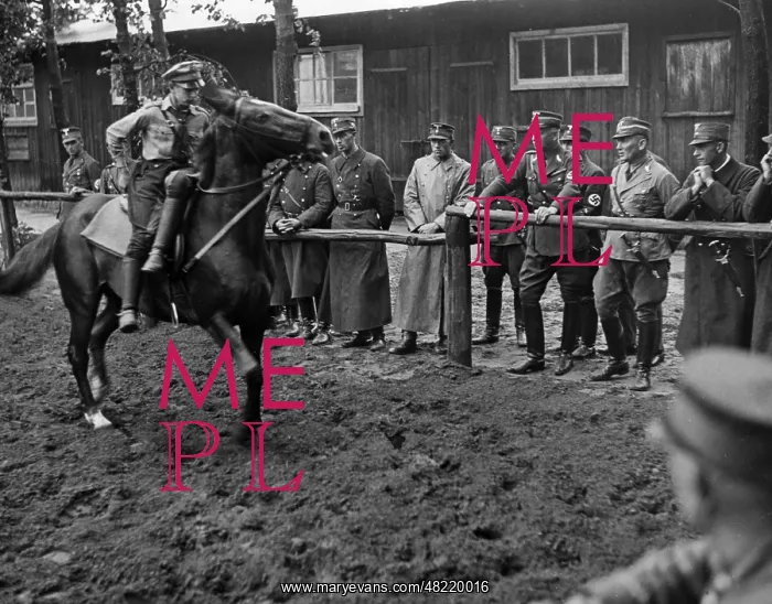 : Max Lehmann and Standartenfuehrer von Schwerin at a hors : Max Lehmann and Standartenfuehrer von Schwerin at a hors