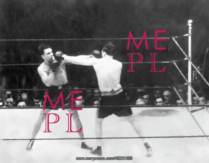 : Max Schmeling against Jack Sharkey, 1932 : Max Schmeling against Jack Sharkey, 1932