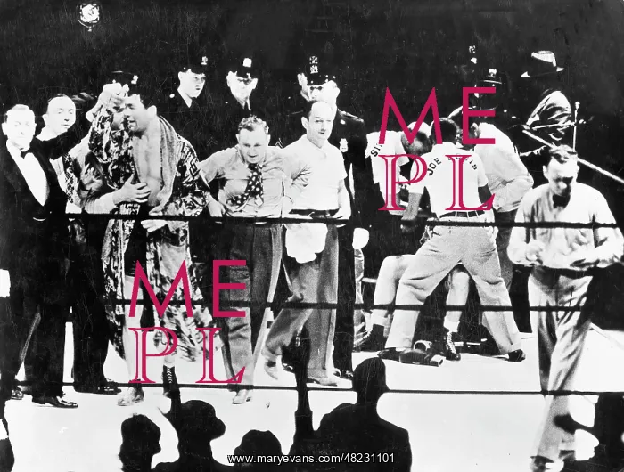 : Max Schmeling against Joe Louis, 1936 : Max Schmeling against Joe Louis, 1936