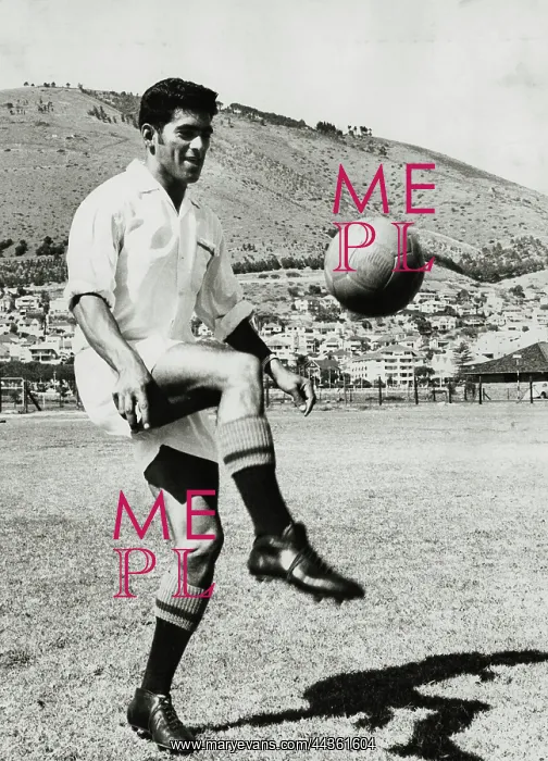 : May 1961 - Steve Swartz - Centre-half for Ramblers : May 1961 - Steve Swartz - Centre-half for Ramblers