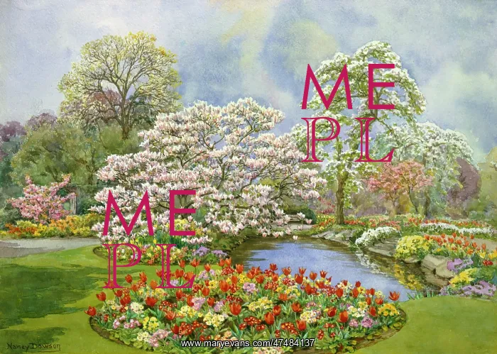 : May Blossom in Hampstead : May Blossom in Hampstead