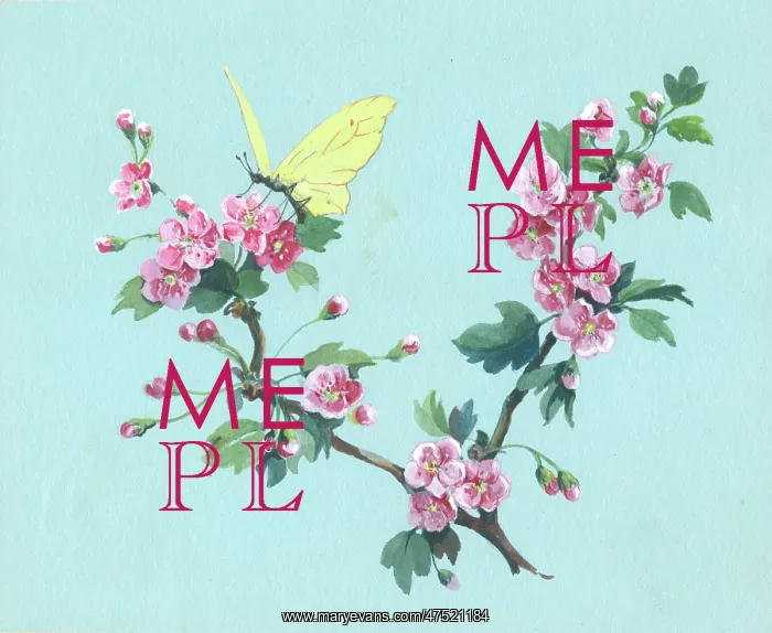  : May Blossom with a yellow butterfly