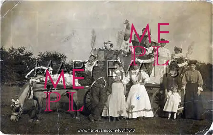 : MAY DAY CELEBRANTS : MAY DAY CELEBRANTS