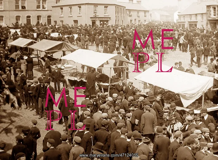  : May Fair, Ballyclare, Ireland in 1883