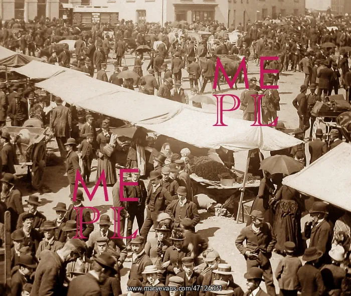  : May Fair, Ballyclare, Ireland in 1883