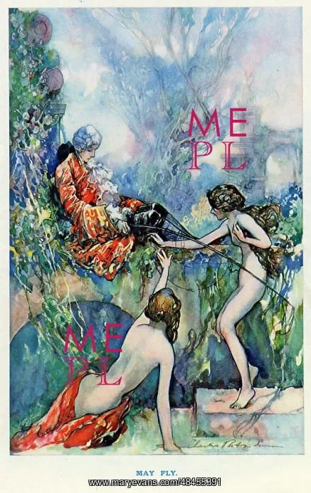  : May Fly by Charles Robinson
