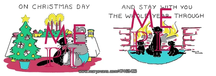 : May good luck follow you home -- bear and cat : May good luck follow you home -- bear and cat