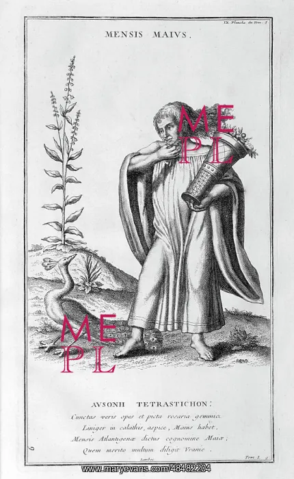 : May, represented as a man carrying flowers. Illustration : May, represented as a man carrying flowers. Illustration