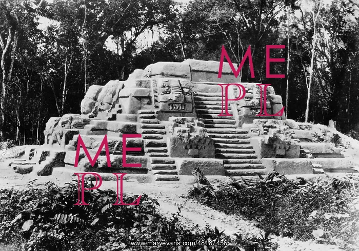 : Mayan pyramids in Mexico, 1929 : Mayan pyramids in Mexico, 1929