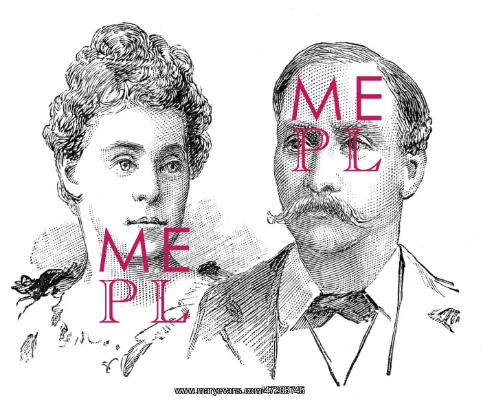 : MAYBRICK CASE : MAYBRICK CASE