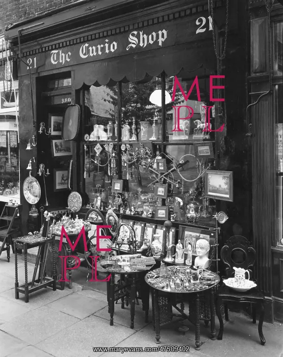 : MAYFAIR CURIO SHOP : MAYFAIR CURIO SHOP