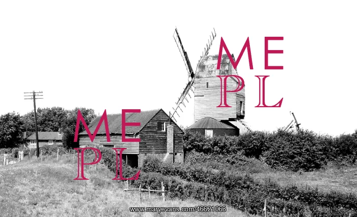  : Mayfield, the Windmill, Argos Hill c1955