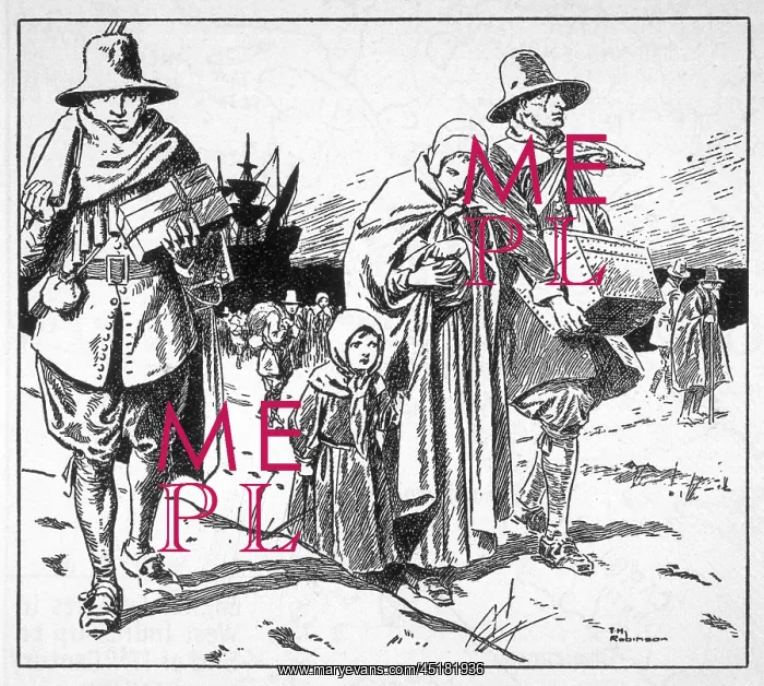 : MAYFLOWER PILGRIMS LAND : MAYFLOWER PILGRIMS LAND