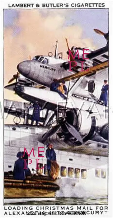 : MAYO / MERCURY (CIG CARD) : MAYO / MERCURY (CIG CARD)
