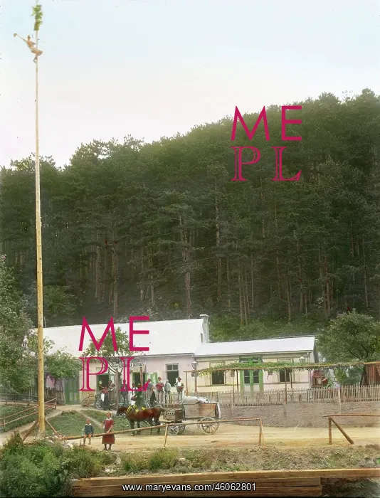 : Maypole climbing : Maypole climbing