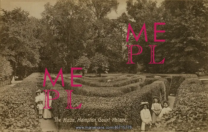 : The Maze at Hampton Court Palace : The Maze at Hampton Court Palace