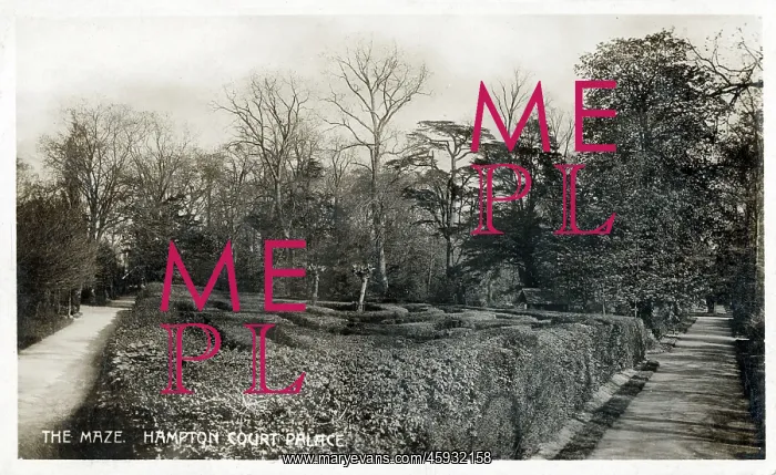 : The Maze, Hampton Court Palace Gardens : The Maze, Hampton Court Palace Gardens