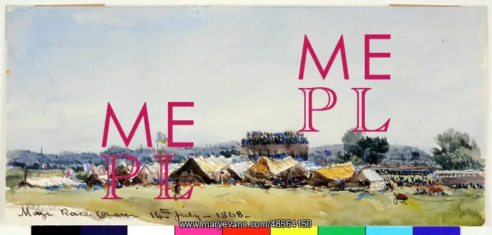 : Maze Race Course : Maze Race Course