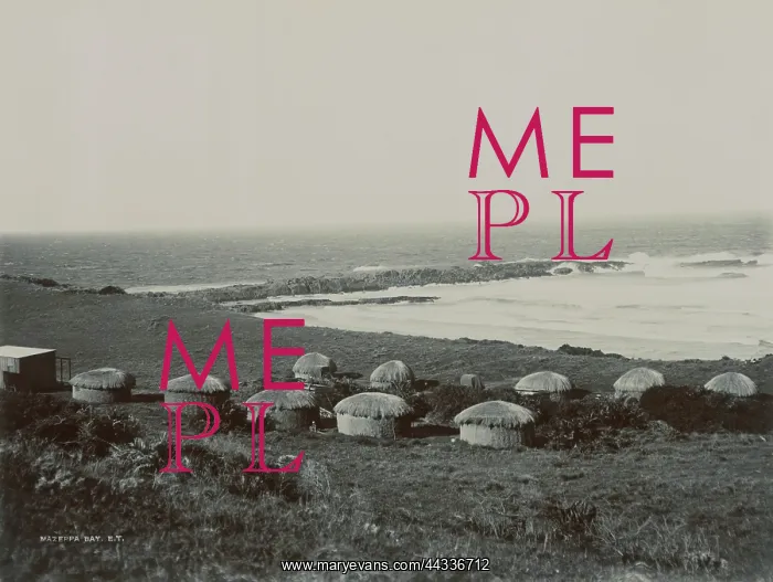 : Mazeppa Bay : Mazeppa Bay