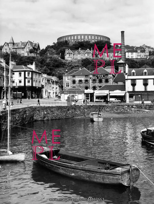  : MCCAIG'S FOLLY