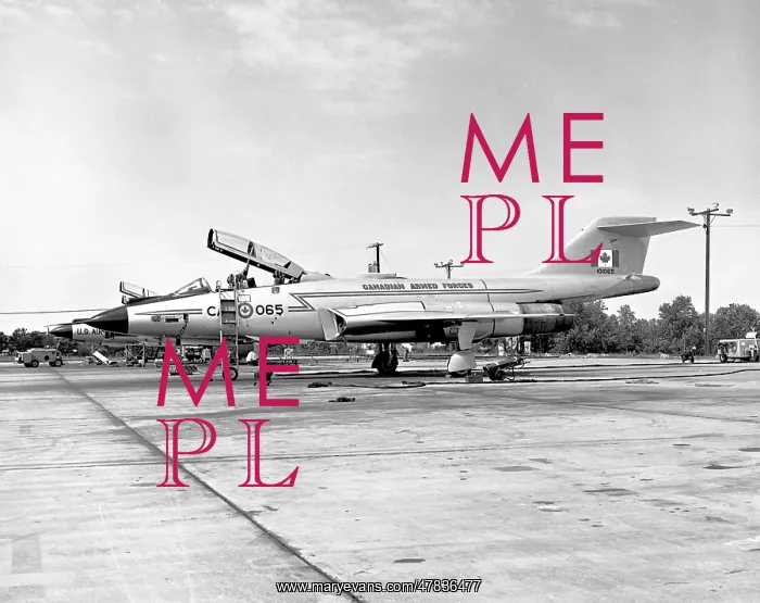  : McDonnell CF-101B 101065