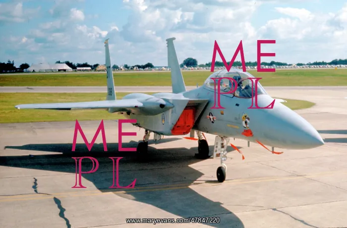 : McDonnell Douglas F-15A Eagle 76-0088 : McDonnell Douglas F-15A Eagle 76-0088