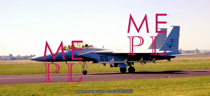 : McDonnell Douglas F-15B Eagle 71-0291 : McDonnell Douglas F-15B Eagle 71-0291