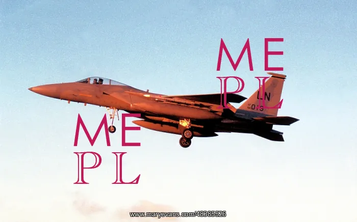 : McDonnell Douglas F-15C Eagle 84-0019 : McDonnell Douglas F-15C Eagle 84-0019
