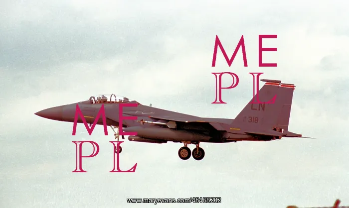 : McDonnell Douglas F-15E Strike Eagle 91-0318 : McDonnell Douglas F-15E Strike Eagle 91-0318