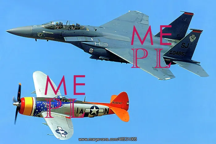 : McDonnell Douglas F-15E Strike Eagle - Republic Thunderbolt : McDonnell Douglas F-15E Strike Eagle - Republic Thunderbolt
