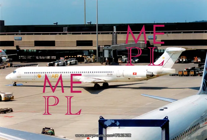 : McDonnell Douglas MD-83 EI-CGI : McDonnell Douglas MD-83 EI-CGI