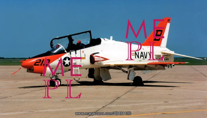 : McDonnell Douglas T-45A Goshawk 163619 : McDonnell Douglas T-45A Goshawk 163619