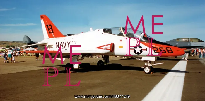 : McDonnell Douglas T-45A Goshawk 165068 : McDonnell Douglas T-45A Goshawk 165068