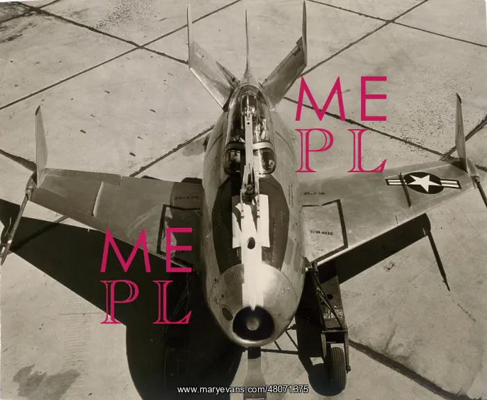 : McDonnell XF-85 Goblin : McDonnell XF-85 Goblin