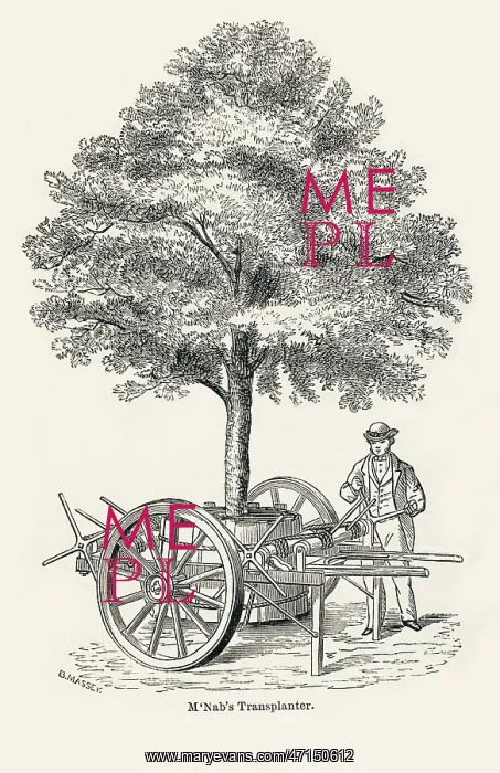 : McNab's tree transplanter, as used in Edinburgh : McNab's tree transplanter, as used in Edinburgh
