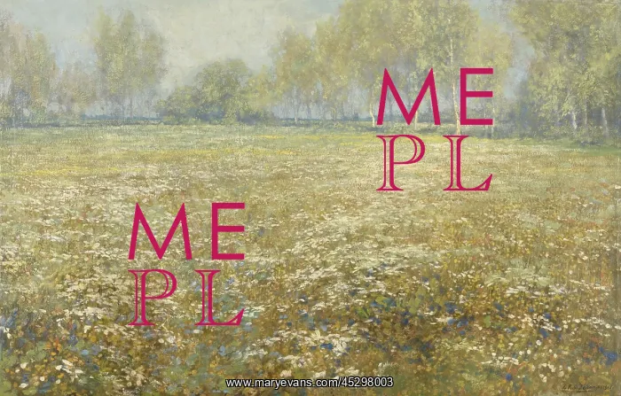 : Meadow in Bloom : Meadow in Bloom
