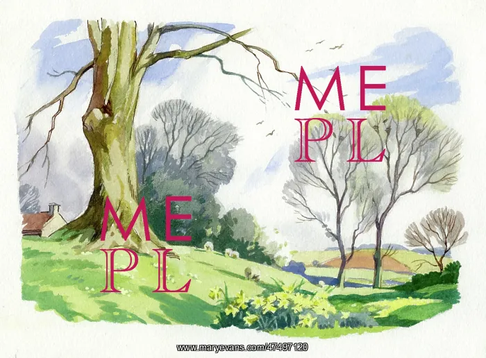 : Meadow with daffodils : Meadow with daffodils