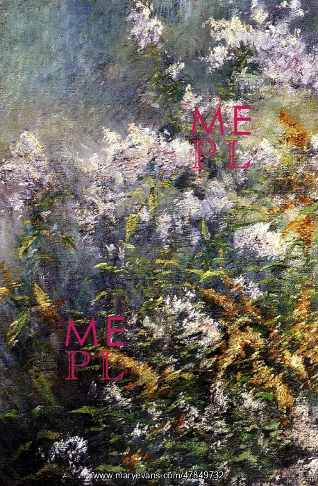  : Meadow Flowers