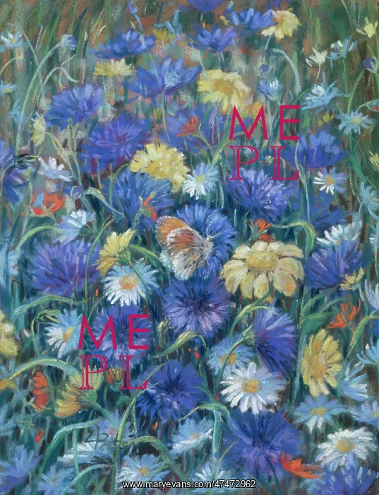 : Meadow Flowers with Butterfly : Meadow Flowers with Butterfly