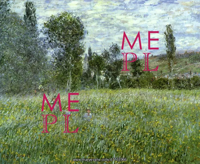  : Meadow outside Vetheuil, by Monet